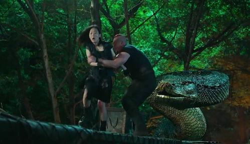 视频蛇王,探寻神秘蛇类世界的奥秘