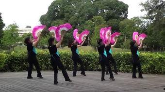 王广成绿旋风教学视频,王广成带你轻松掌握高效学习方法