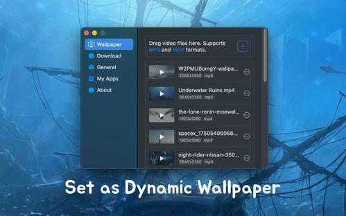 视频怎么设置壁纸